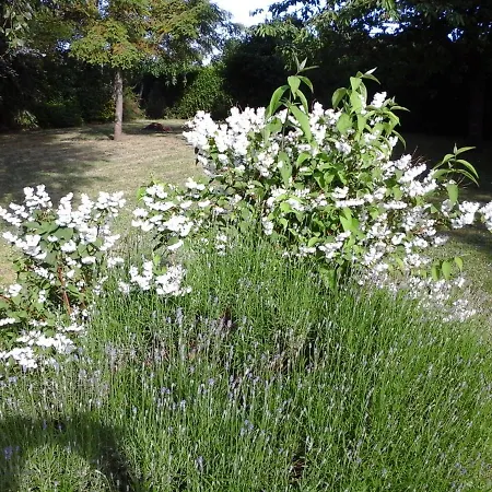 Valerie Gouffe D'hotes Bed & Breakfast