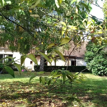 Valerie Gouffe D'hotes *