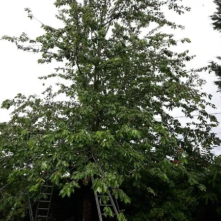 Bed & Breakfast Valerie Gouffe D'hotes