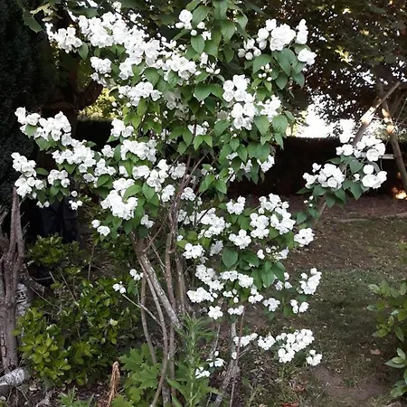 Bed & Breakfast Valerie Gouffe D'hotes