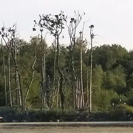 Valerie Gouffe D'hotes Parigné-lʼÉvêque