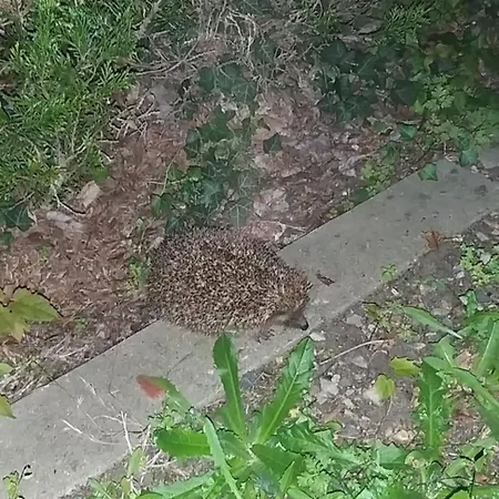 Valerie Gouffe D'hotes Bed & Breakfast *