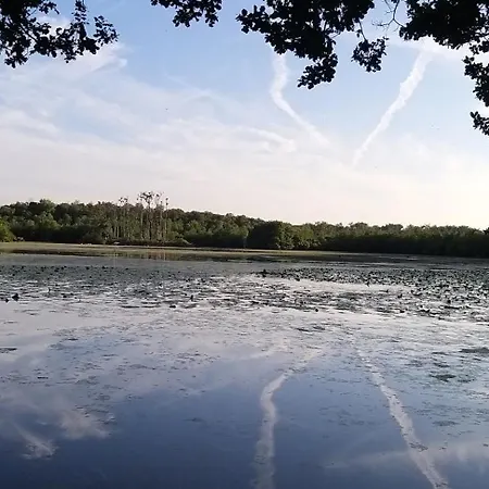 Valerie Gouffe D'hotes *