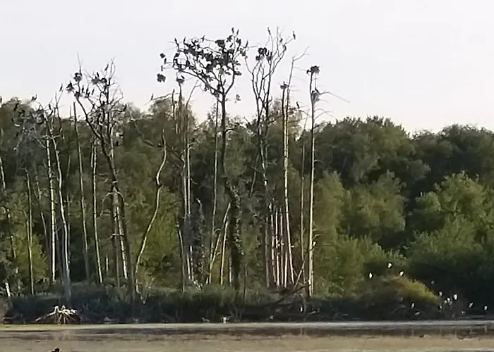 Valerie Gouffe D'hotes Parigné-lʼÉvêque