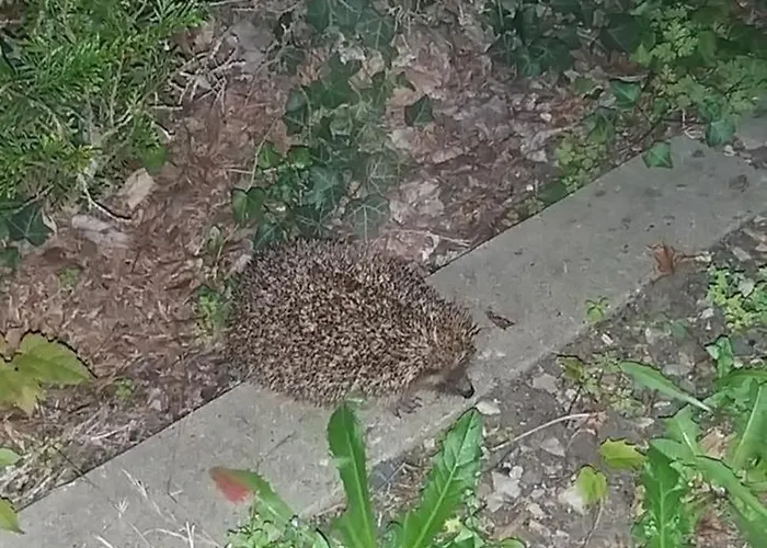 Valerie Gouffe D'hotes Alojamento de Acomodação e Pequeno-almoço *